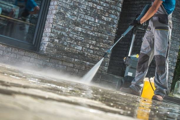 Best Soft Washing  in Panther Valley, NJ