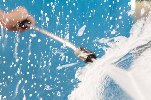 Best Driveway Pressure Washing  in Panther Valley, NJ